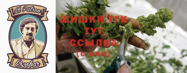 соль курить ск Алзамай